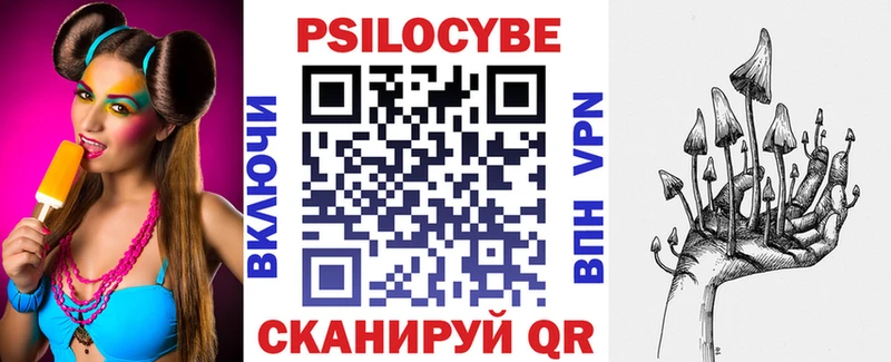 omg зеркало Димитровград Псилоцибиновые грибы GOLDEN TEACHER
